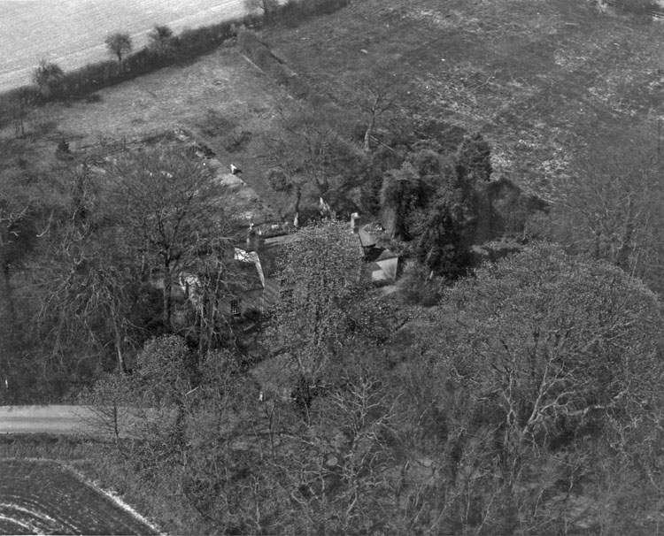 chestnuts
                    aerial