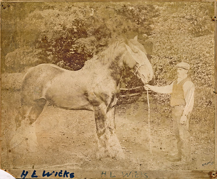 herbert lance with horse