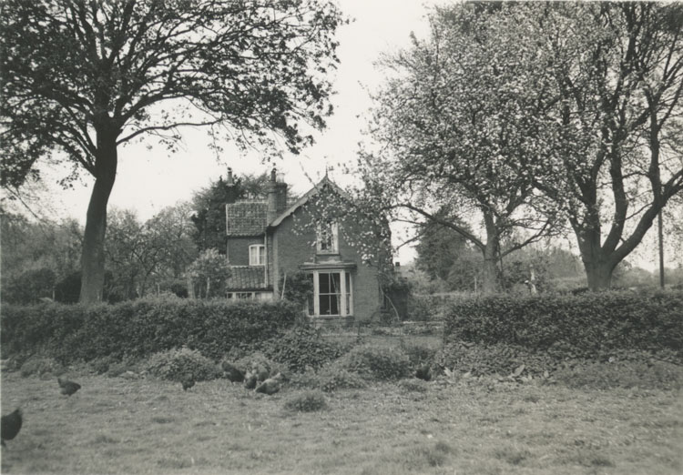 hermitage 1952