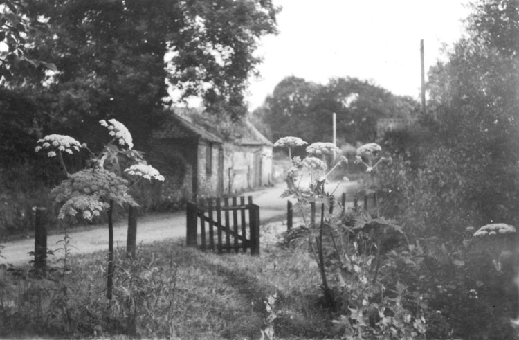 Mill Lane 1952