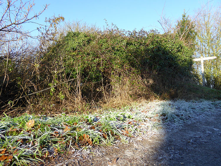 pillbox